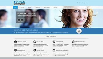 Doran Consultancy Services