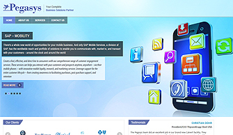 Pegasys Infotech